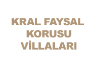 FAİSAL KORUSU VİLLALARI MERMER